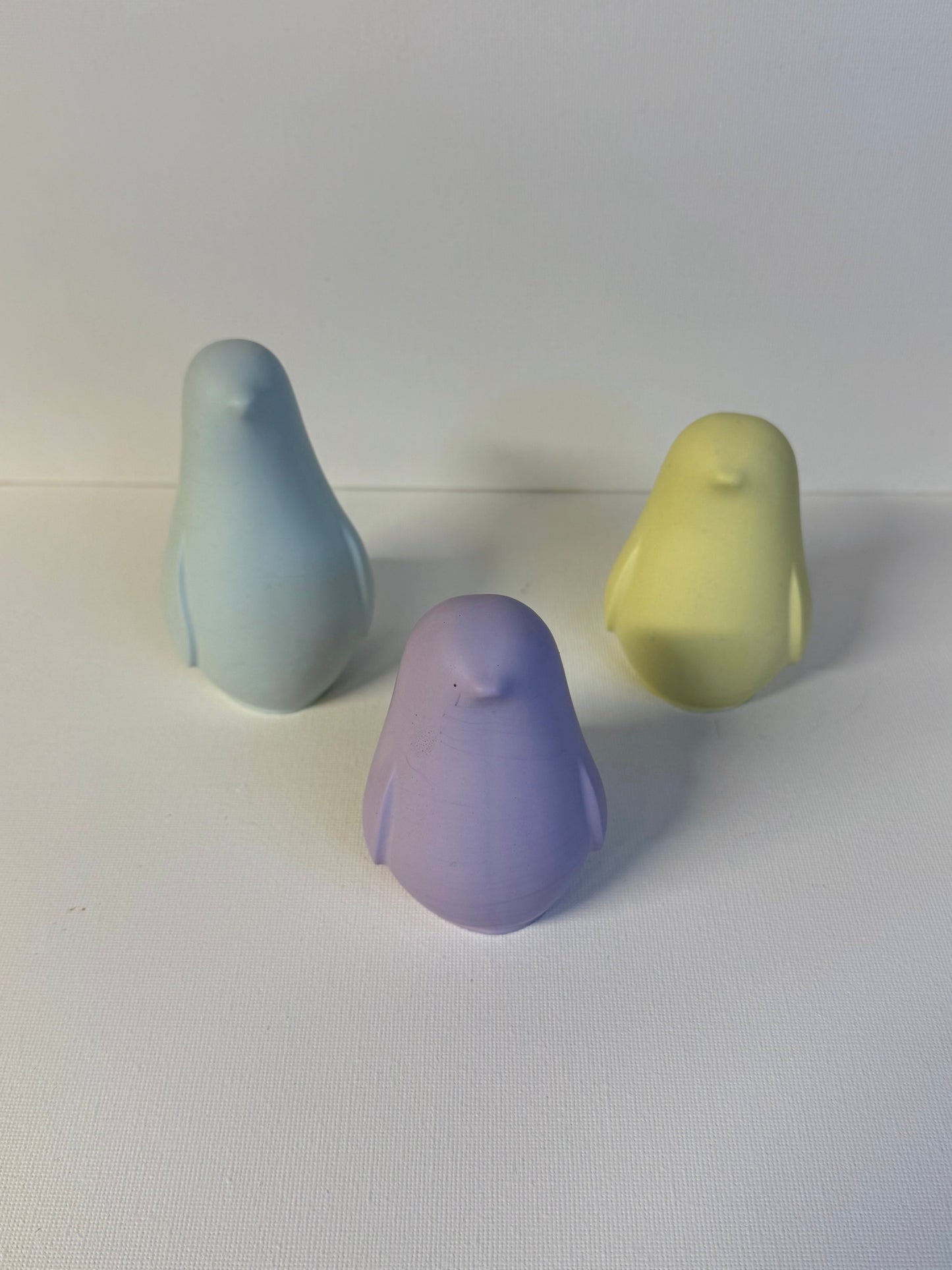 Birds